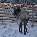 Kaamasen Kievari 4* Kaamanen