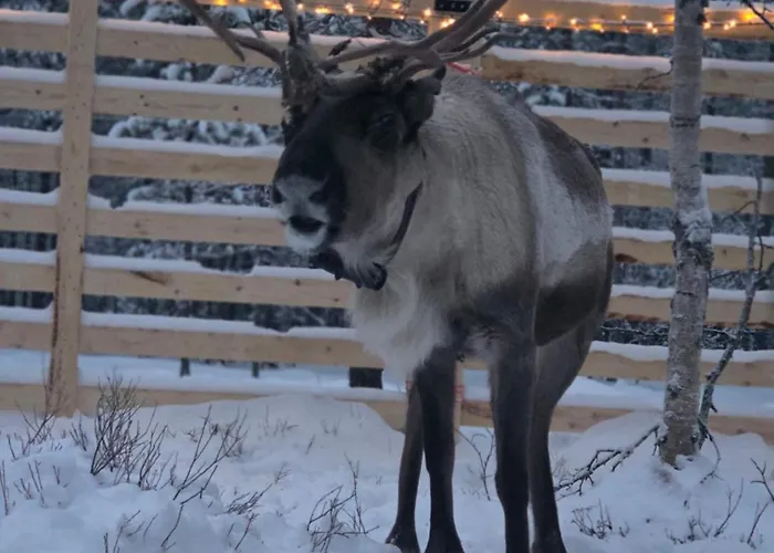 Kaamasen Kievari 4* Kaamanen