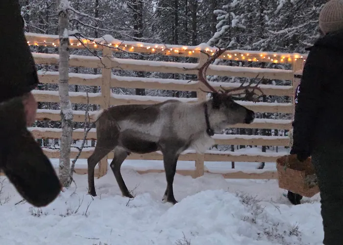 Kaamasen Kievari Kaamanen