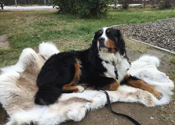 Aparthotel Kaamasen Kievari 4*